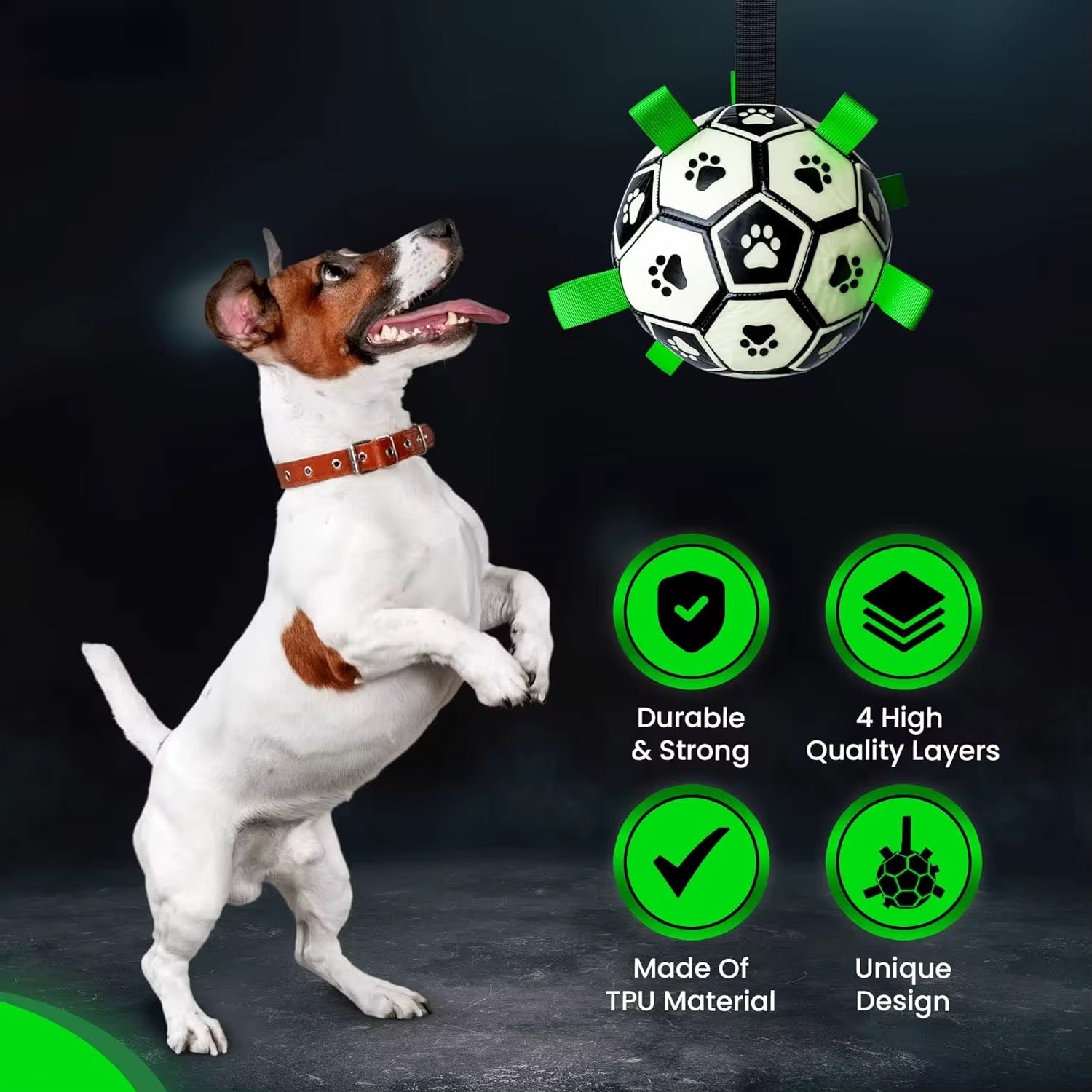 Midnight Fetcher 2.0 — Luminous Ball