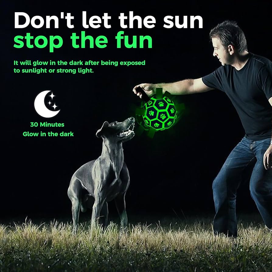 Midnight Fetcher 2.0 — Luminous Ball