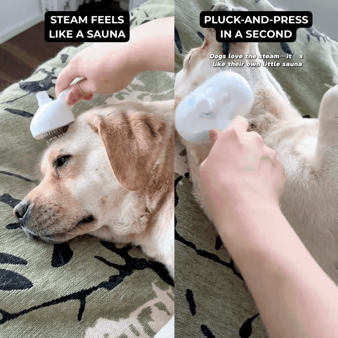 CozyComb 2.0 – The Brush Pets Love