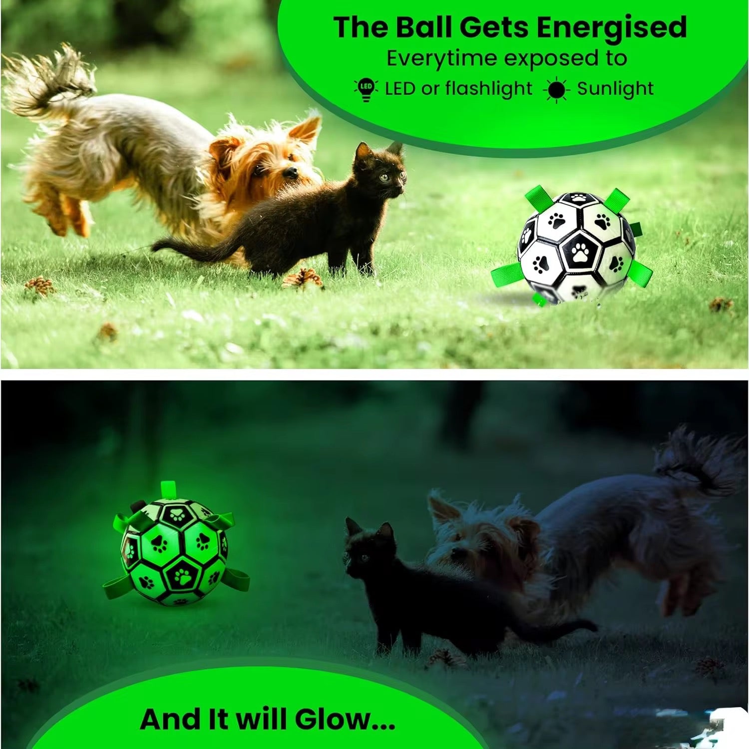 Midnight Fetcher 2.0 — Luminous Ball