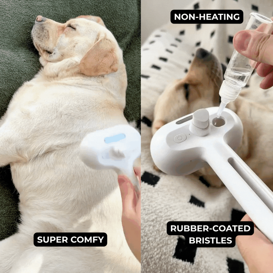 CozyComb 2.0 – The Brush Pets Love